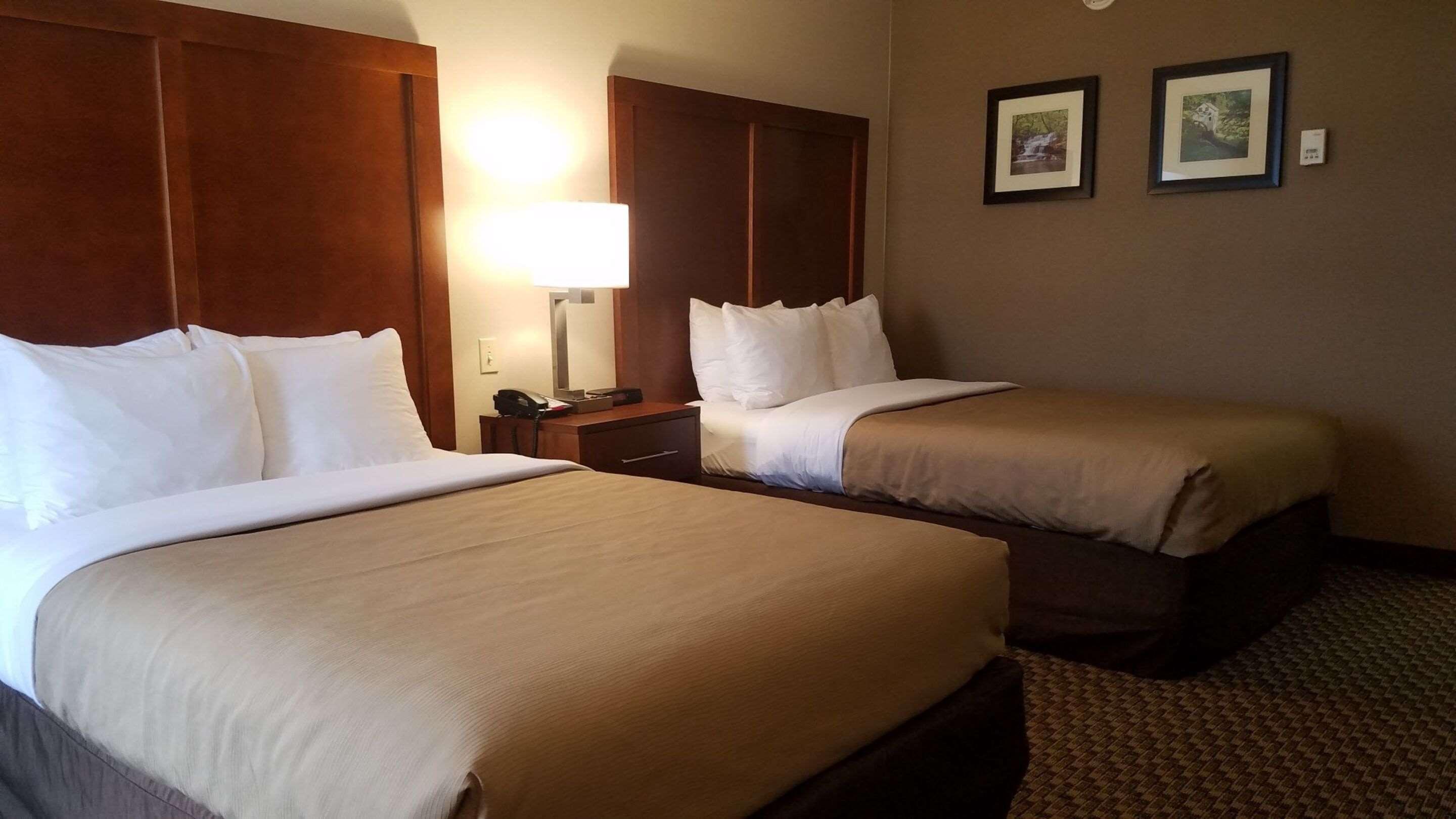 Comfort Inn Airport Roanoke Kültér fotó